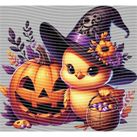 Halloween-WS 5767
